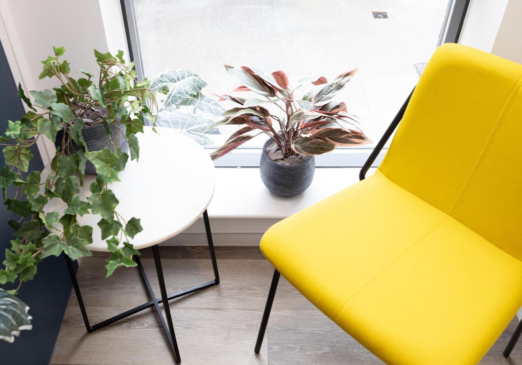 Charming Studios Near Holyrood Park & Calton Hill إدنبرة الغرفة الصورة